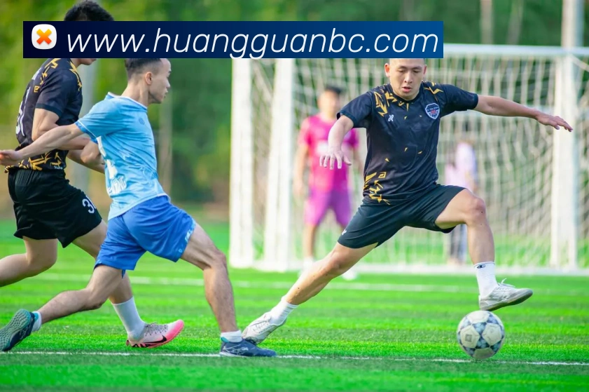 皇冠现金网服务体系